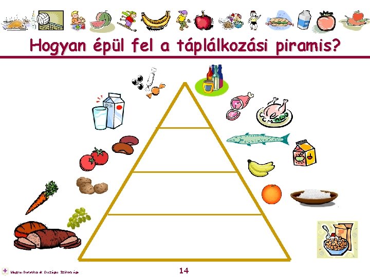 Hogyan épül fel a táplálkozási piramis? Magyar Dietetikusok Országos Szövetsége 14 
