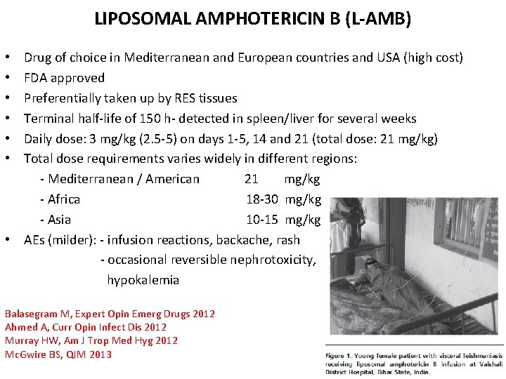 LIPOSOMAL AMPHOTERICIN B (L-AMB) Drug of choice in Mediterranean and European countries and USA