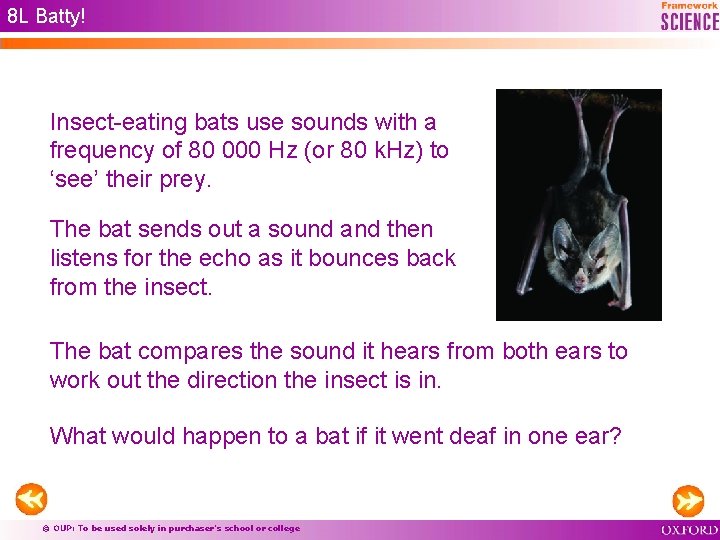 8 L Batty! Insect-eating bats use sounds with a frequency of 80 000 Hz 8 L Batty! Insect-eating bats use sounds with a frequency of 80 000 Hz