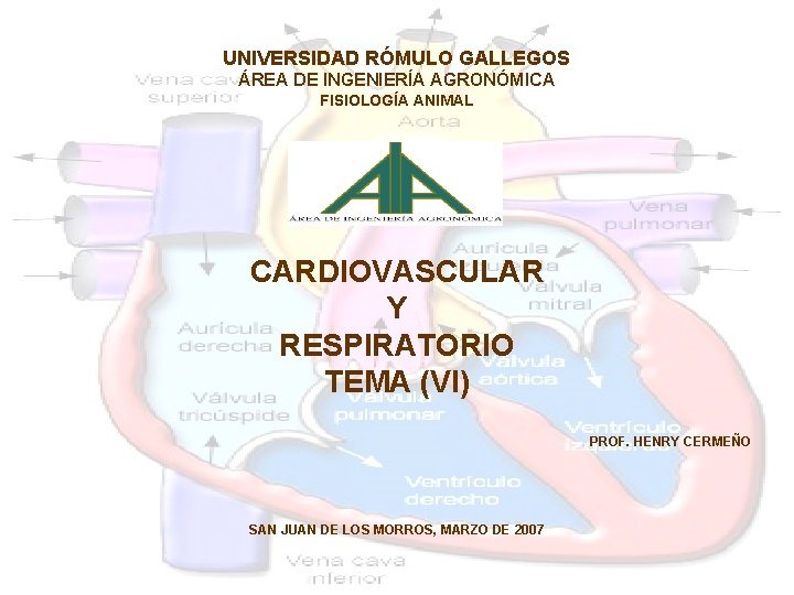 UNIVERSIDAD RÓMULO GALLEGOS ÁREA DE INGENIERÍA AGRONÓMICA FISIOLOGÍA ANIMAL CARDIOVASCULAR Y RESPIRATORIO TEMA (VI)