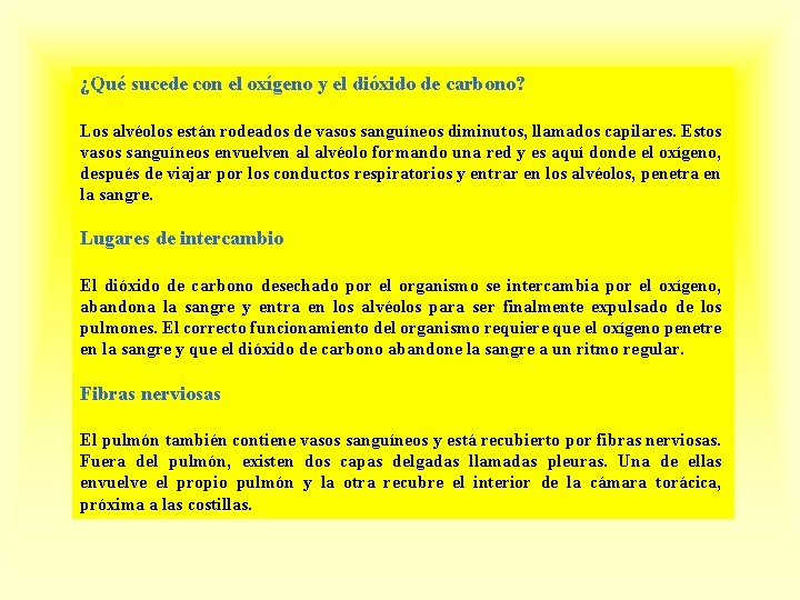 ¿Qué sucede con el oxígeno y el dióxido de carbono? Los alvéolos están rodeados