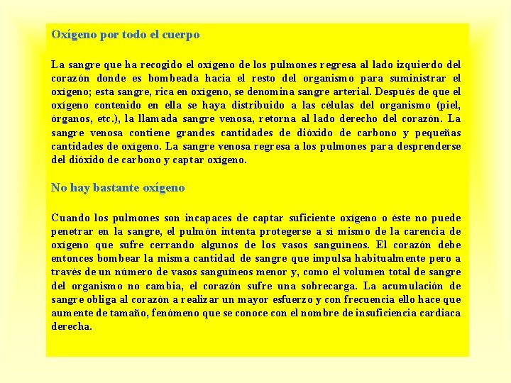 Oxígeno por todo el cuerpo La sangre que ha recogido el oxígeno de los