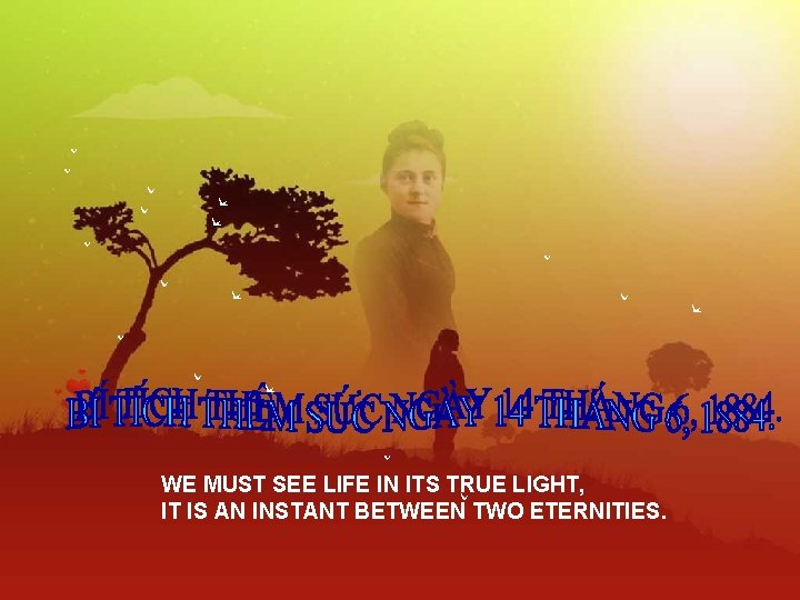WE MUST SEE LIFE IN ITS TRUE LIGHT, IT IS AN INSTANT BETWEEN TWO