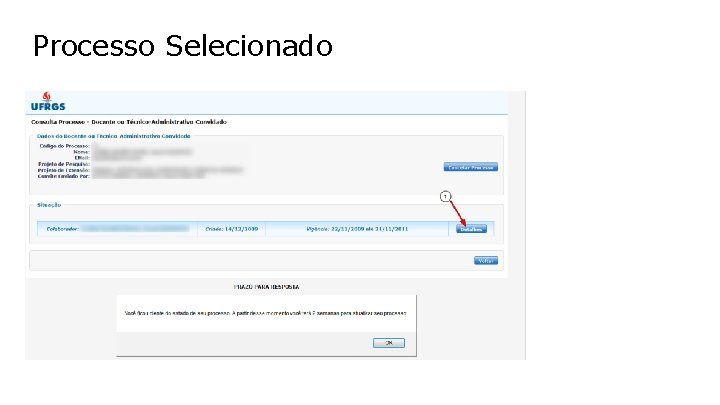 Processo Selecionado 