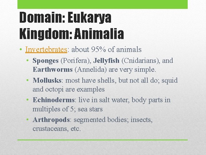 Domain: Eukarya Kingdom: Animalia • Invertebrates: about 95% of animals • Sponges (Porifera), Jellyfish