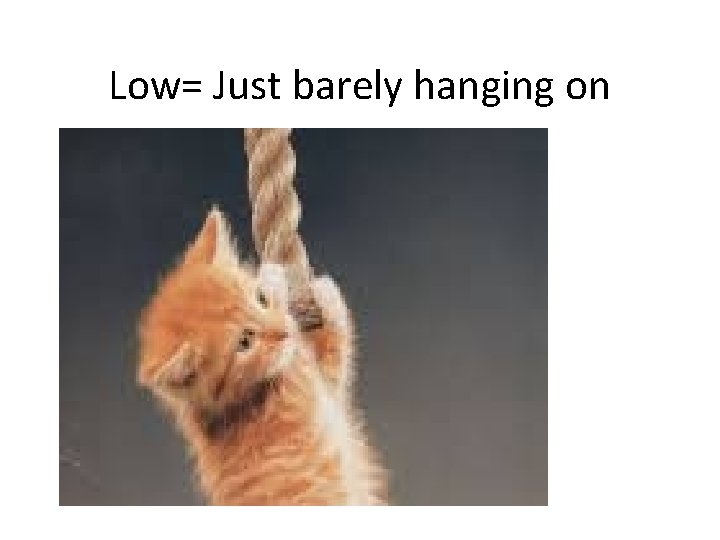 Low= Just barely hanging on 