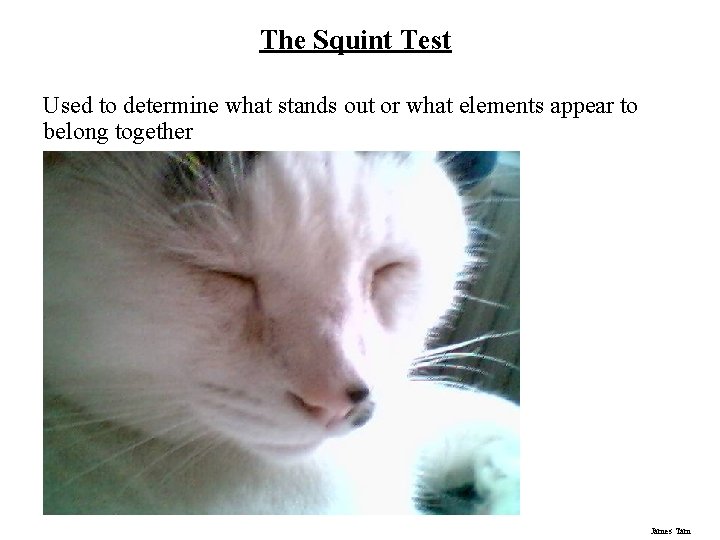 The Squint Test Used to determine what stands out or what elements appear to