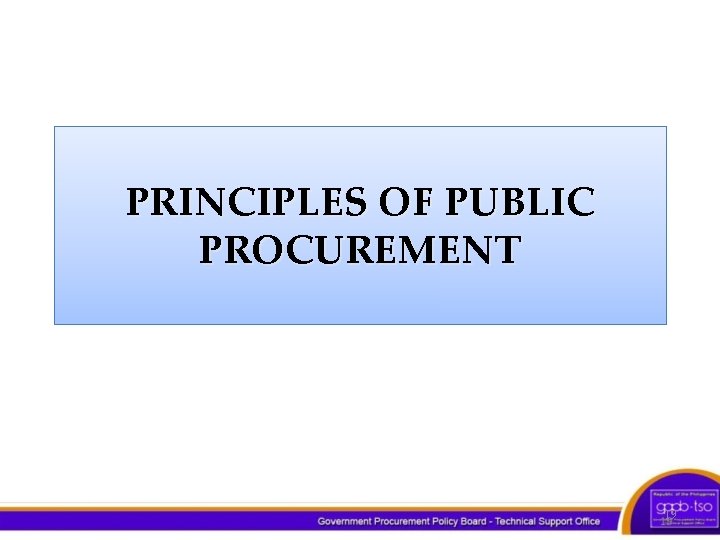 PRINCIPLES OF PUBLIC PROCUREMENT 19 