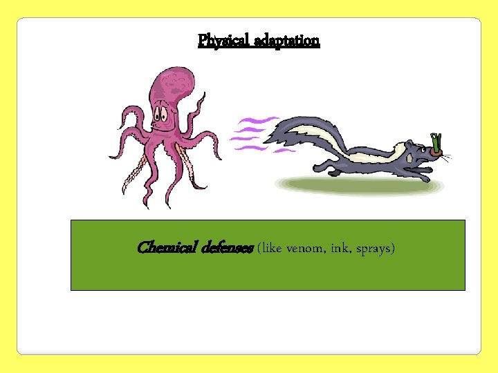 Physical adaptation Chemical defenses (like venom, ink, sprays) 