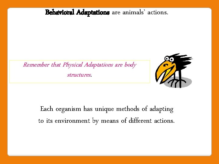 Behavioral Adaptations are animals’ actions. Remember that Physical Adaptations are body structures. Each organism