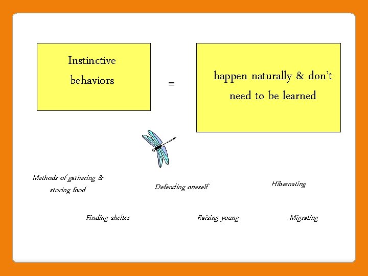 Instinctive behaviors Methods of gathering & storing food Finding shelter happen naturally & don’t