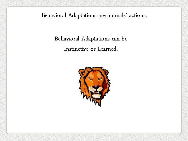 Behavioral Adaptations are animals’ actions. Behavioral Adaptations can be Instinctive or Learned. 