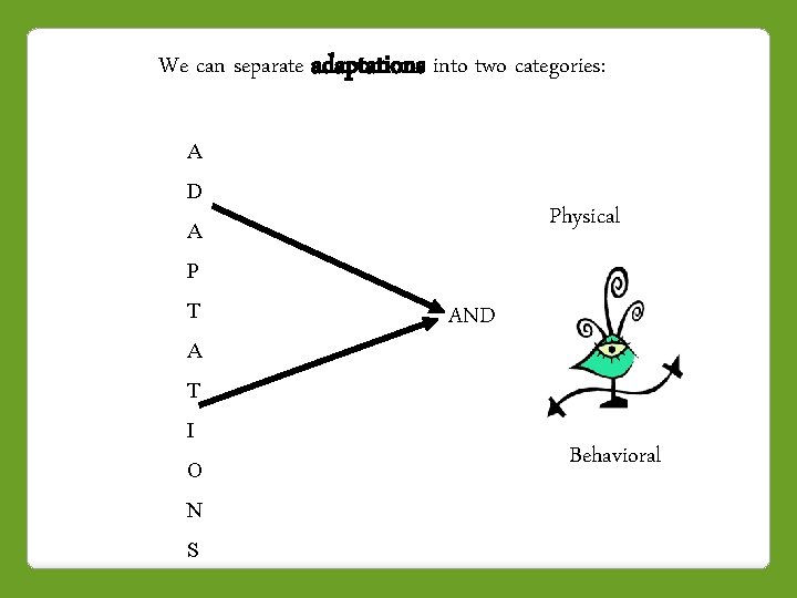 We can separate adaptations into two categories: A D Physical A P T A