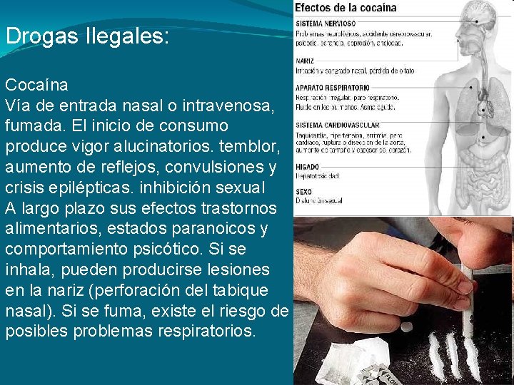 Drogas Ilegales: Cocaína Vía de entrada nasal o intravenosa, fumada. El inicio de consumo Drogas Ilegales: Cocaína Vía de entrada nasal o intravenosa, fumada. El inicio de consumo