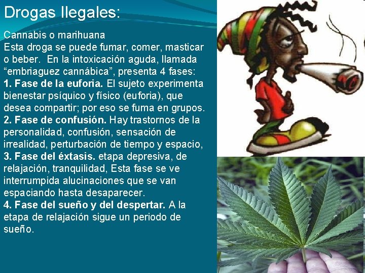 Drogas Ilegales: Cannabis o marihuana Esta droga se puede fumar, comer, masticar o beber. Drogas Ilegales: Cannabis o marihuana Esta droga se puede fumar, comer, masticar o beber.