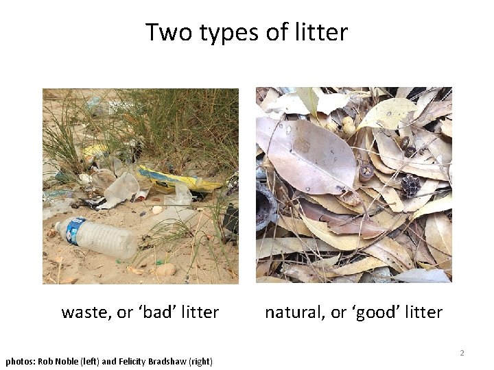 Two types of litter waste, or ‘bad’ litter photos: Rob Noble (left) and Felicity