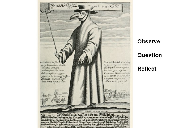 Observe Question Reflect 