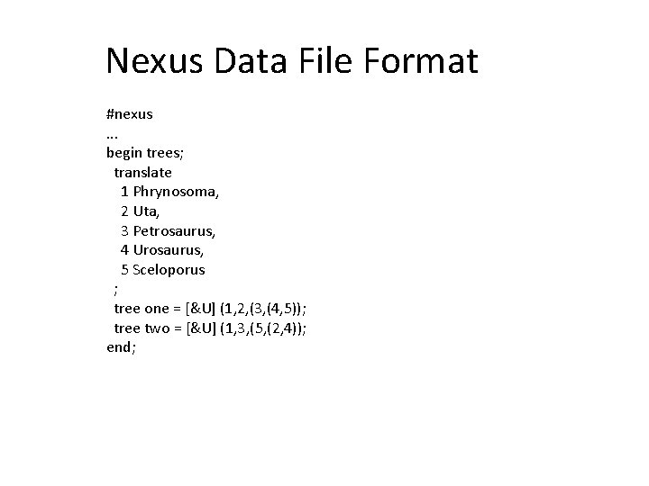 Nexus Data File Format #nexus. . . begin trees; translate 1 Phrynosoma, 2 Uta,
