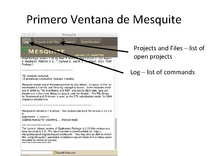 Primero Ventana de Mesquite Projects and Files – list of open projects Log –