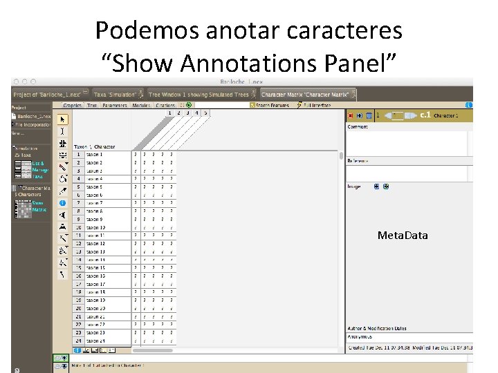 Podemos anotar caracteres “Show Annotations Panel” Meta. Data 