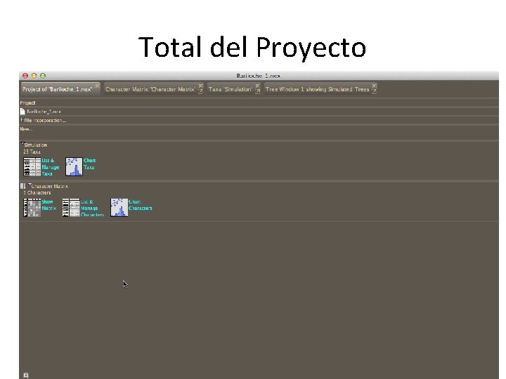 Total del Proyecto 