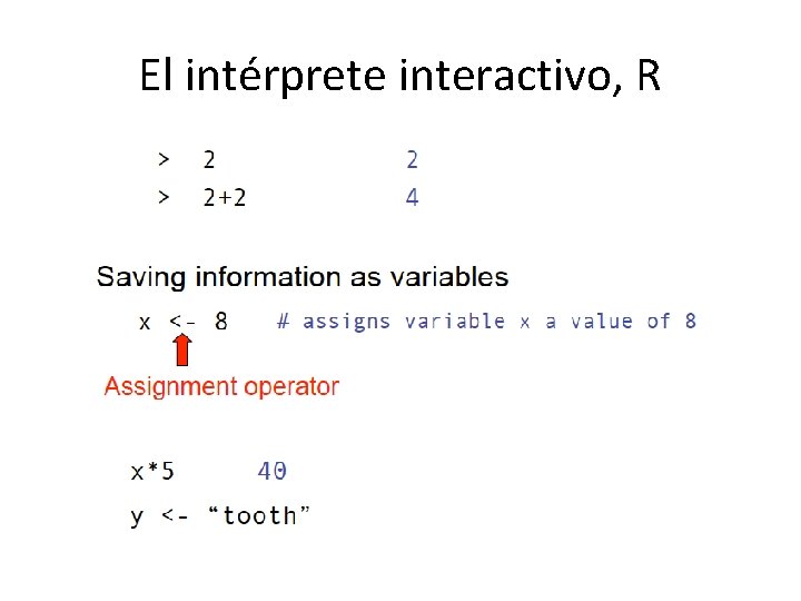 El intérprete interactivo, R 