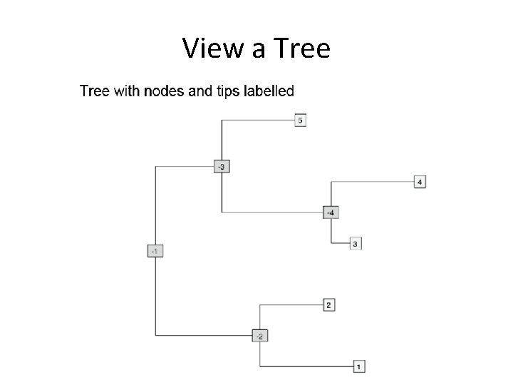 View a Tree 