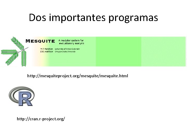 Dos importantes programas http: //mesquiteproject. org/mesquite. html http: //cran. r-project. org/ 
