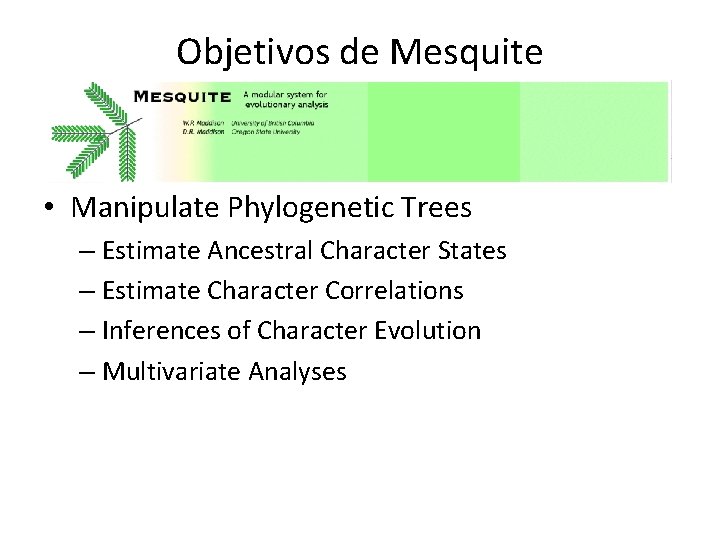 Objetivos de Mesquite • Manipulate Phylogenetic Trees – Estimate Ancestral Character States – Estimate