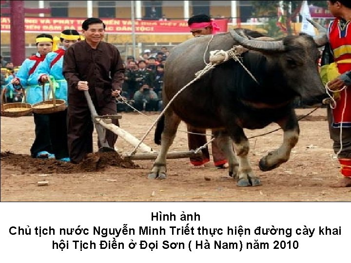 Hình ảnh Chủ tịch nước Nguyễn Minh Triết thực hiện đường cày khai hội