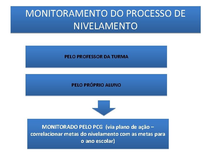 MONITORAMENTO DO PROCESSO DE NIVELAMENTO PELO PROFESSOR DA TURMA PELO PRÓPRIO ALUNO MONITORADO PELO