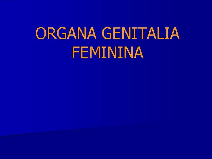 ORGANA GENITALIA FEMININA 