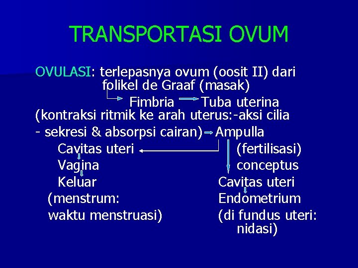 TRANSPORTASI OVUM OVULASI: terlepasnya ovum (oosit II) dari folikel de Graaf (masak) Fimbria Tuba