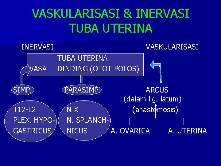 VASKULARISASI & INERVASI TUBA UTERINA INERVASI VASA SIMP. T 12 -L 2 PLEX. HYPOGASTRICUS