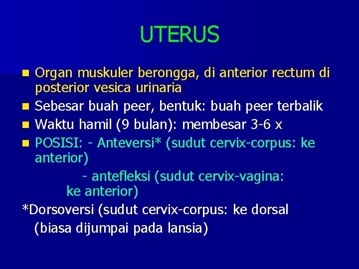 UTERUS Organ muskuler berongga, di anterior rectum di posterior vesica urinaria n Sebesar buah