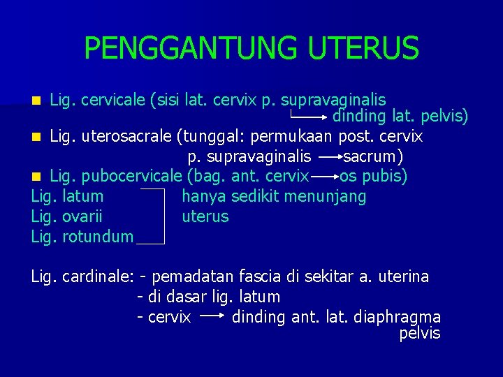 PENGGANTUNG UTERUS Lig. cervicale (sisi lat. cervix p. supravaginalis dinding lat. pelvis) n Lig.