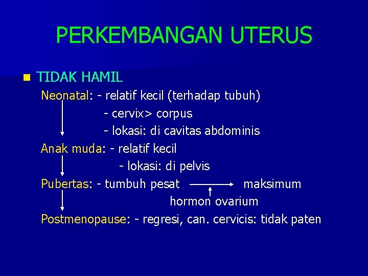 PERKEMBANGAN UTERUS n TIDAK HAMIL Neonatal: - relatif kecil (terhadap tubuh) - cervix> corpus
