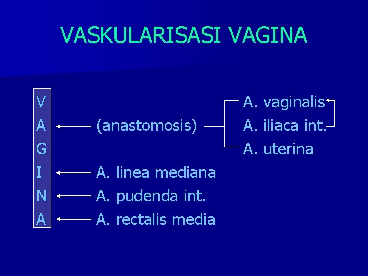 VASKULARISASI VAGINA V A G I N A (anastomosis) A. linea mediana A. pudenda