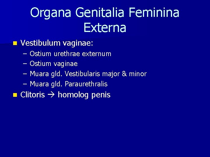 Organa Genitalia Feminina Externa n Vestibulum vaginae: – – n Ostium urethrae externum Ostium