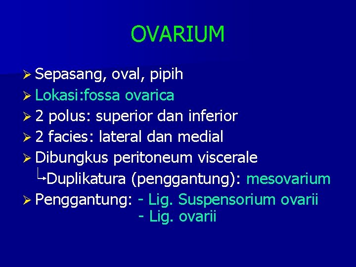 OVARIUM Ø Sepasang, oval, pipih Ø Lokasi: fossa ovarica Ø 2 polus: superior dan