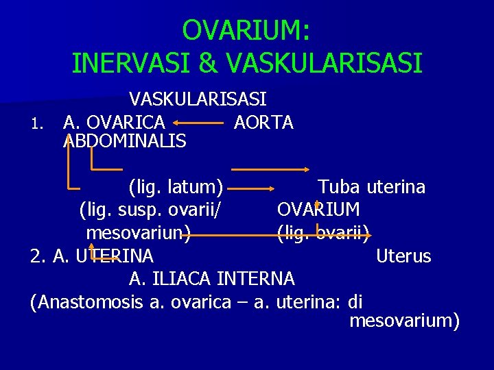 OVARIUM: INERVASI & VASKULARISASI 1. A. OVARICA AORTA ABDOMINALIS (lig. latum) Tuba uterina (lig.