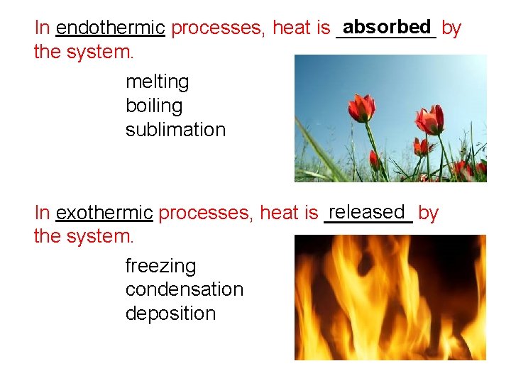 absorbed by In endothermic processes, heat is _____ the system. melting boiling sublimation released