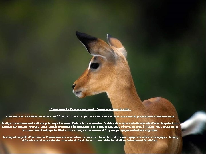 Protection de l'environnement d’un écosystème fragile : Une somme de 2, 54 billion de