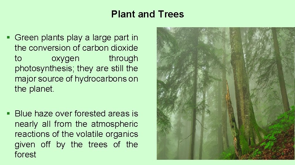 Plant and Trees § Green plants play a large part in the conversion of