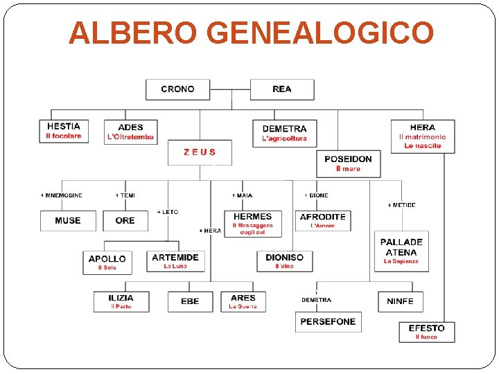 ALBERO GENEALOGICO 