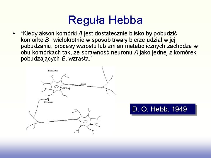 Reguła Hebba • “Kiedy akson komórki A jest dostatecznie blisko by pobudzić komórkę B