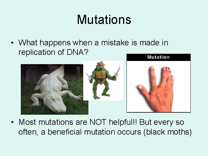 Mutations • What happens when a mistake is made in replication of DNA? •