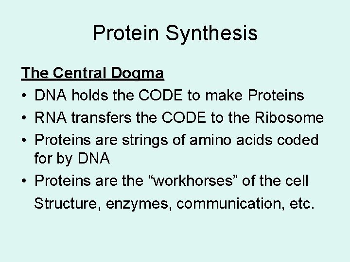 Protein Synthesis The Central Dogma • DNA holds the CODE to make Proteins •