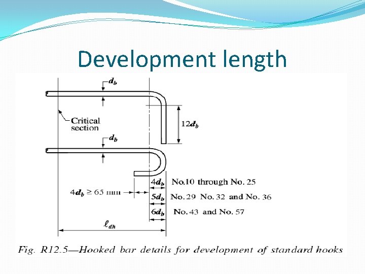 Development length 