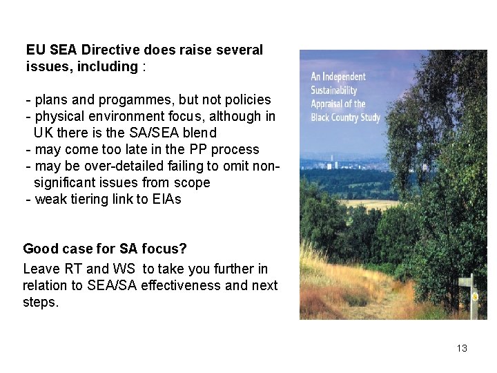 EU SEA Directive does raise several issues, including : - plans and progammes, but